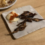 大衆食堂BEETLE - 