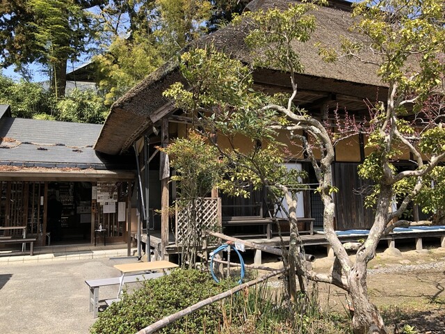 奥の細道展（積善院お休み処） - 平泉（甘味処）の写真