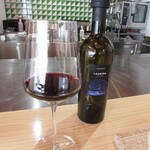 Ryoriya Takashima - LACRIMA DI MORRO QUERCIQANTICA denominazione di origine controllata