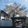 黄桜商店