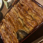 Unagi Kanona - 