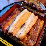 活うなぎ 橋本 - 