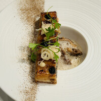 ジョンティ アッシュ - 