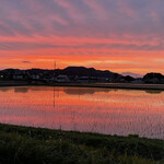 舞留土 - 会社裏の風景
