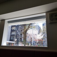 舵 - 