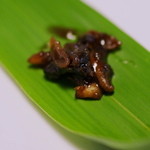 旅舎右馬允 - 蜂子（はちのこ）