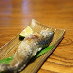 旅舎右馬允 - 岩魚（いはな）