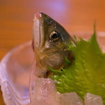 旅舎右馬允 - 鮎（あゆ）