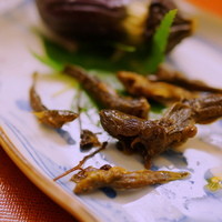 割烹 やました - 琵琶湖の鮴（ごり）