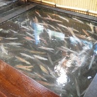 稚加榮 本店 - 