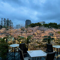ハルヤマシタ 東京本店 - 