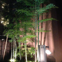 吉星 - 