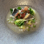 代官山ASO チェレステ - 