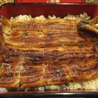 うなぎ割烹 大江戸 - ２本筏の鰻