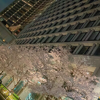 Plaiga TOKYO - 