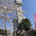 Miharu - 城山公園　無料駐車場　最上階の展望台も無料でしたが夫婦と云うより、お母さんが子供を連れて来るのに最適な所　＿|￣|○