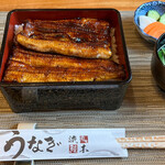 Machida Unagi Ryuuboku - 