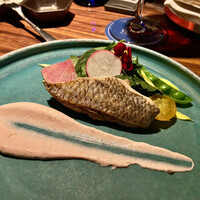 渋谷 Blue bird - 