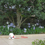 Les deux Bleue - お散歩を愉しんでブルーへ！！