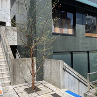 六本木焼肉　Kintan - 