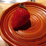 NIKUSYO taku ohira - 苺　ことか