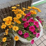 中華料理　幸莱 - 