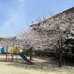 Taiyou To Himawari To Reon - 近所の公園♪