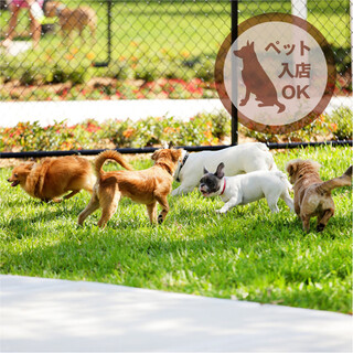 【ペット入店OK】利用者限定のドッグランも併設！