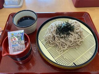 なか卯 - 山わさびざるそば（480円）