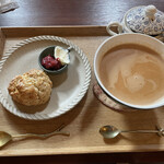 Camellia Nico Tea - 