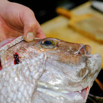 うを徳 - 《播州明石（はりまあかし）》の"眞鯛（まだひ）"、八百八十匁（≒3.3kg）