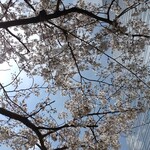 ラーメン二郎 - 