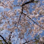 ラーメン二郎 - 