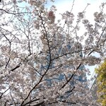 ラーメン二郎 - 