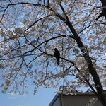 ラーメン二郎 - 