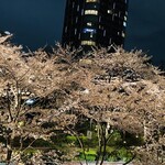 ナプレ - 桜満開テラス席