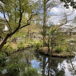 Jindaiji Soba Aokiya - 席から眺める景色