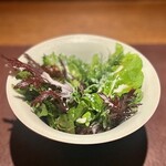 アカ - 2023.2.  アホブランコ