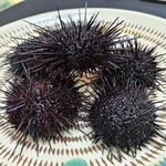 日本料理 TOBIUME - ②紫雲丹(福岡県岩屋産)
      産卵期は初夏～晩夏、旬は初夏～晩夏
      生きている状態で仕入れご自分で剥かれます
      お店の生簀でキャベツを食べさせているそう
      雲丹から剥くなんて大変だー！