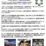 とんかつ ふじ井 - 