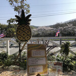 ALOHA CAFE Pineapple - 