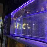 焼肉 拍手喝采 - 