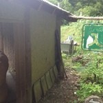 ヴィオ・パーク劇場 - 