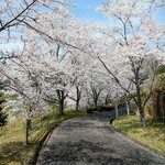 Shimagahara Onsen Yabuccha Satoyama Ryouri Dondo - 