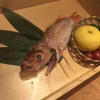 のどぐろ専門 銀座 中俣 - 