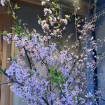 西麻布野口 - ありがとうございました(o・・o)/~