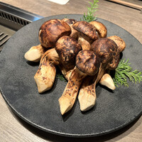 USHIGORO S. SHINJUKU - 