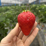 姫路ハートフル観光農園 - 