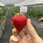 姫路ハートフル観光農園 - 