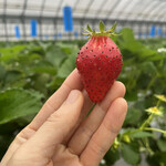 姫路ハートフル観光農園 - 